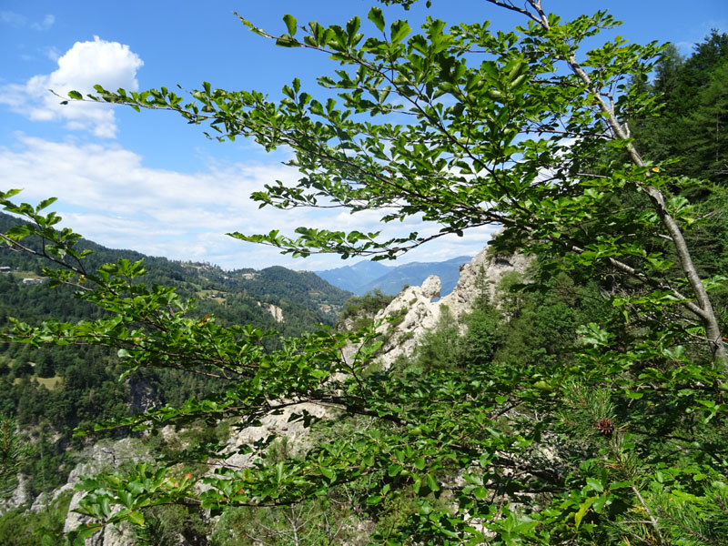 salita all''arco naturale....Carbonare (TN)